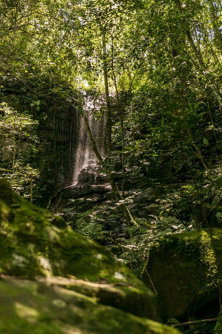 Cascata escondida na mata atlântica